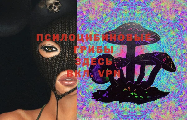 мяу мяу мука Заводоуковск