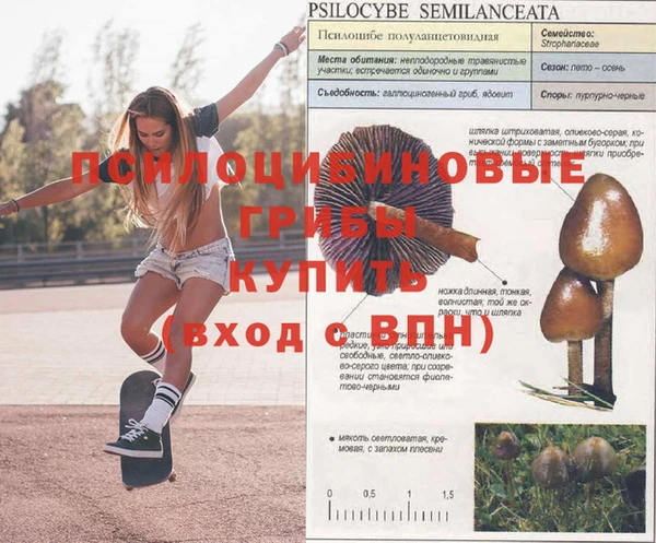 МДПВ Заволжье