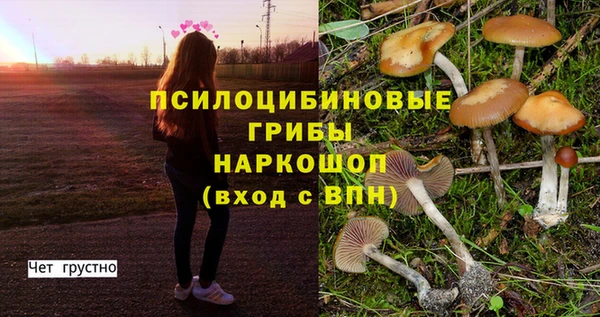 МДПВ Заволжье