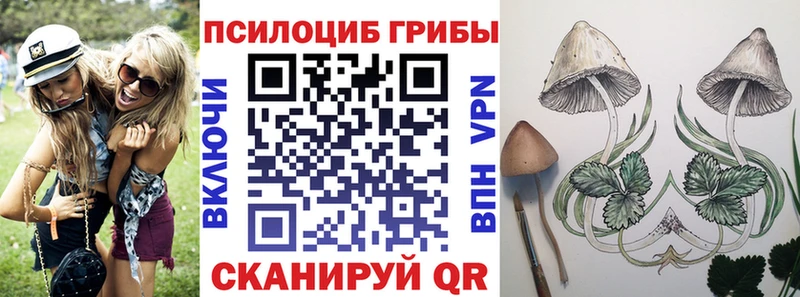 Купить закладки  Выборг  Псилоцибиновые грибы MAGIC MUSHROOMS 