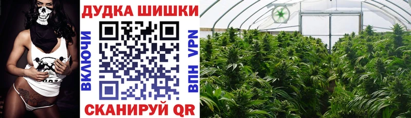 Купить  Выборг  Конопля SATIVA & INDICA 